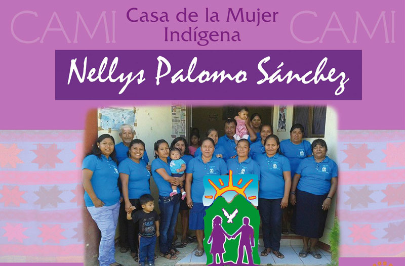 Casa-de-la-Mujer-Indigena-y-Afromexicana--CAMIA----Nellys-Palomo-Sanchez--San-Luis-Acatlan